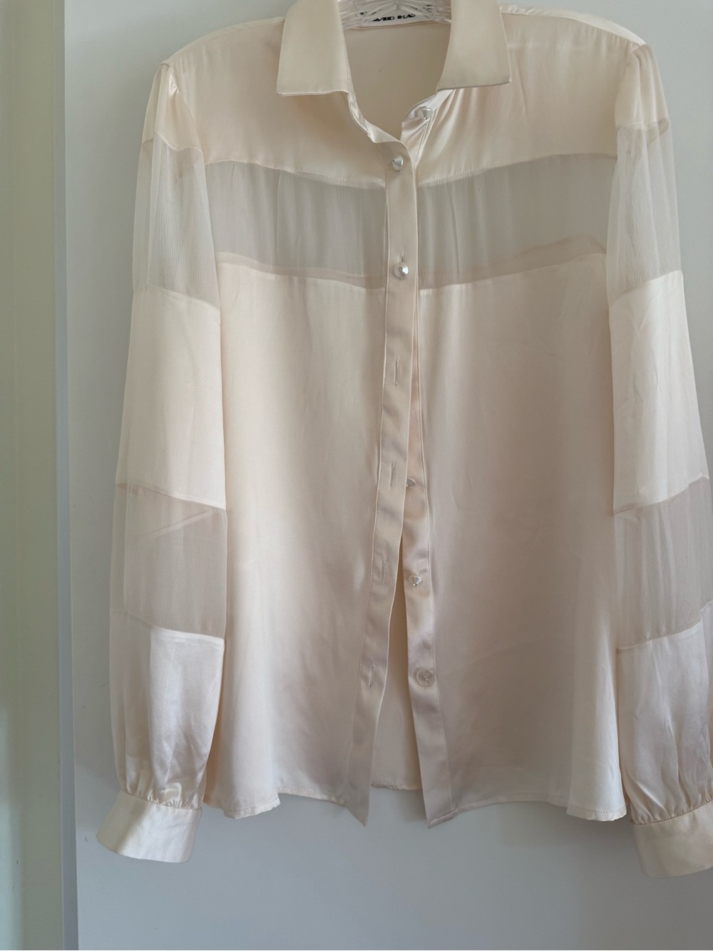 Satin Silk with Sheer Silk Panels Button-Down Blouse